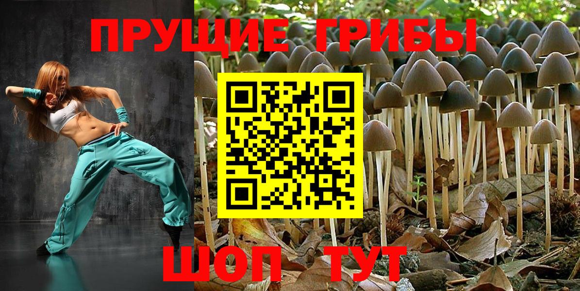 Псилоцибиновые грибы мицелий  Вход с VPN  Дубна 
